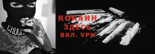 дурь Новодвинск
