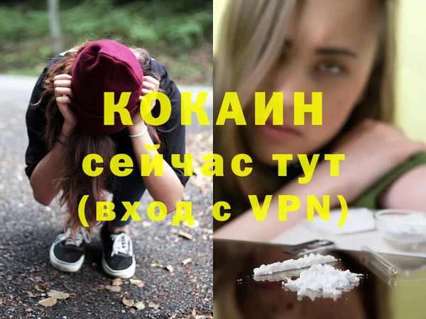 соль курить ск Новозыбков