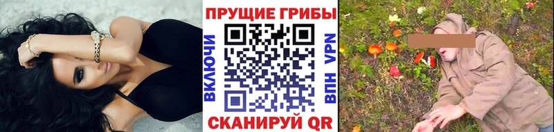магазин продажи   Рыбинск  Галлюциногенные грибы Psilocybine cubensis 