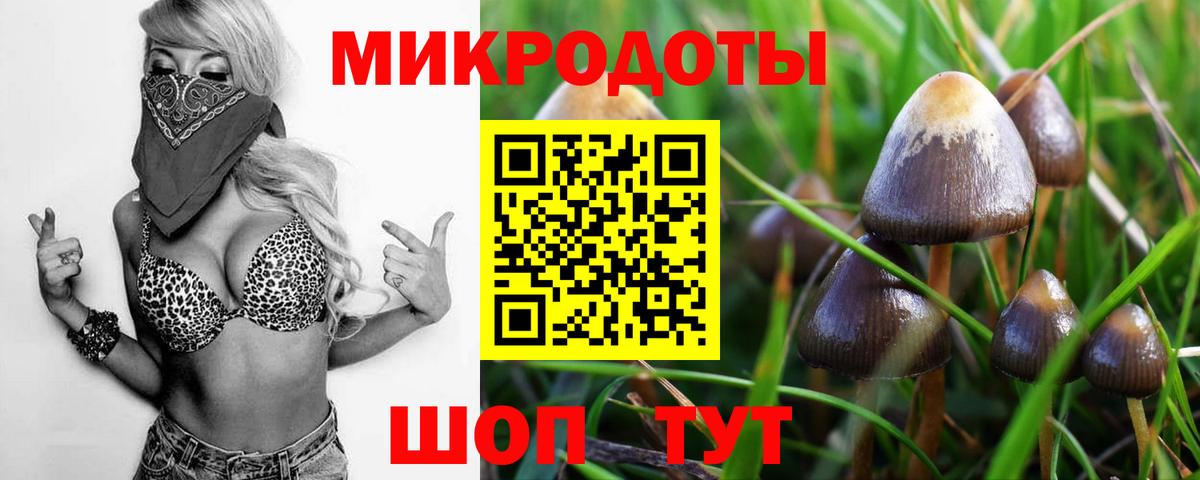 Рыбинск  Псилоцибиновые грибы Cubensis  Вход с VPN  Галлюциногенные грибы Magic Shrooms 
